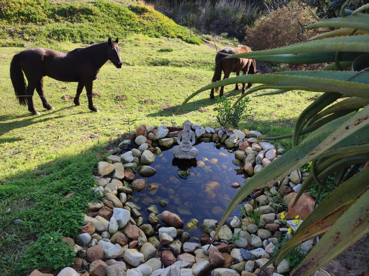 The Riverstone - Romantic Hideaway By The River - Loadshedding Free! Napier Exteriér fotografie