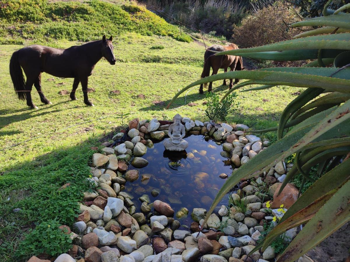 Vila The Riverstone - Romantic Hideaway By The River - Loadshedding Free! Napier Exteriér fotografie