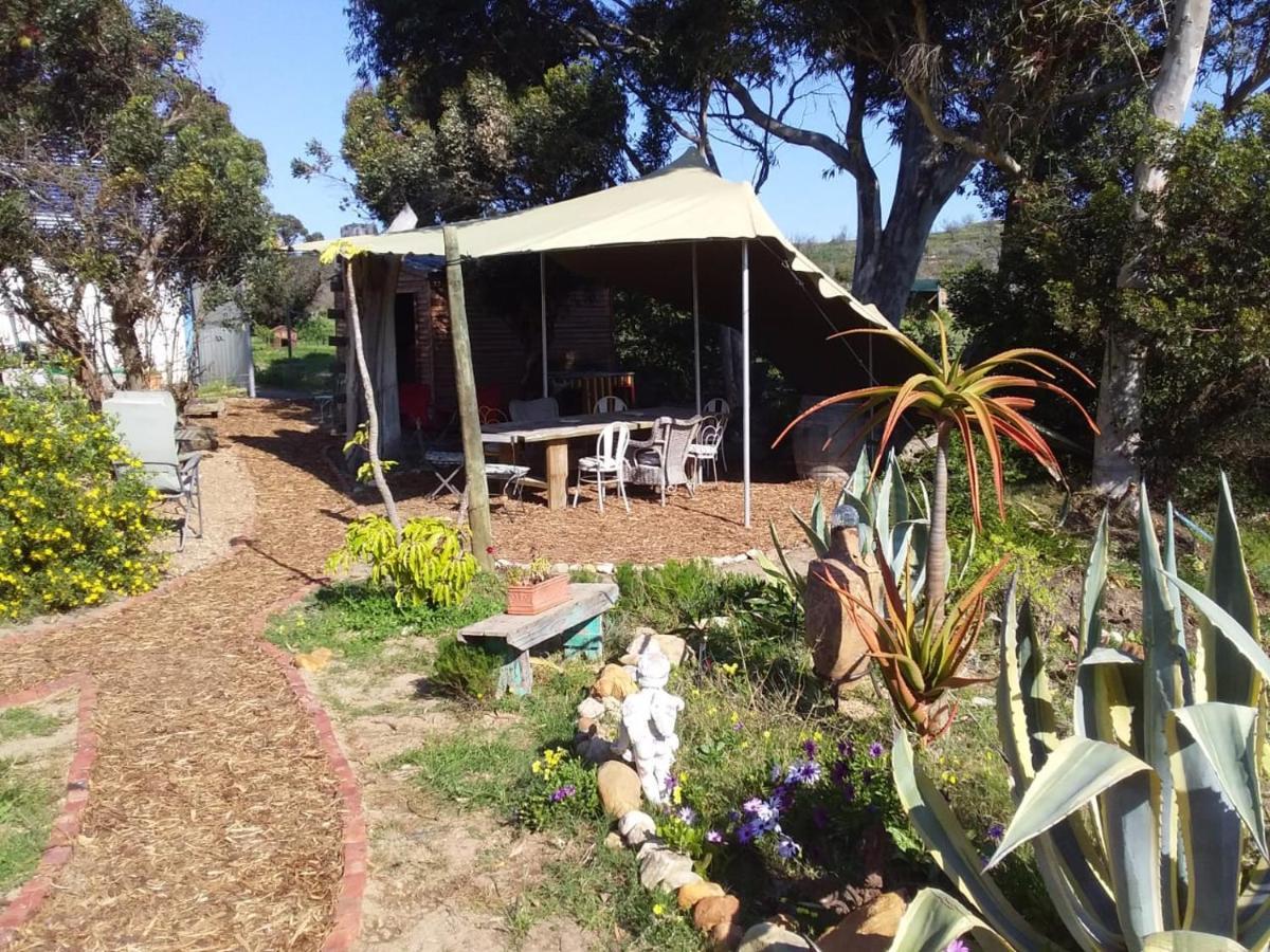 The Riverstone - Romantic Hideaway By The River - Loadshedding Free! Napier Exteriér fotografie