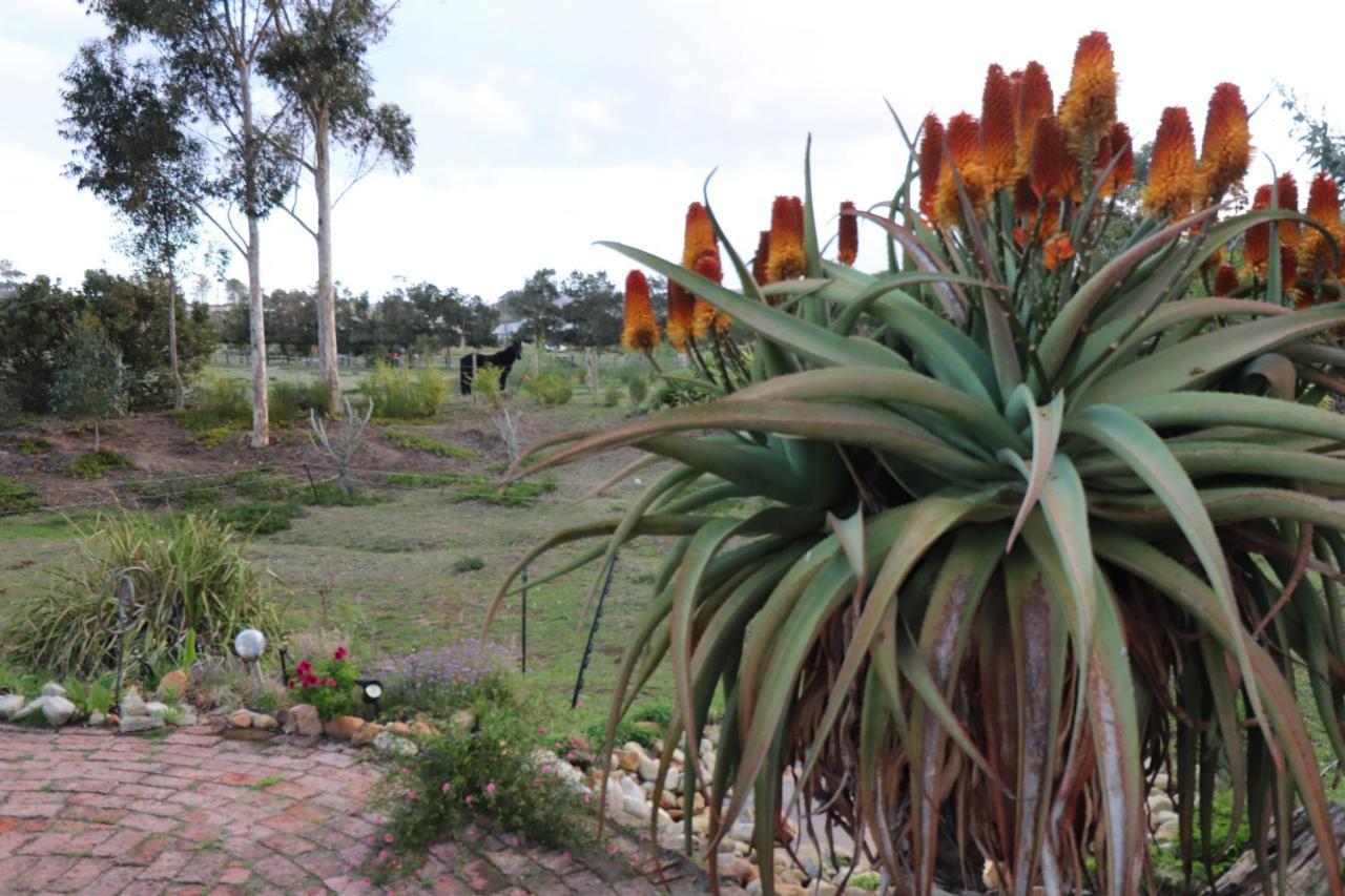 The Riverstone - Romantic Hideaway By The River - Loadshedding Free! Napier Exteriér fotografie