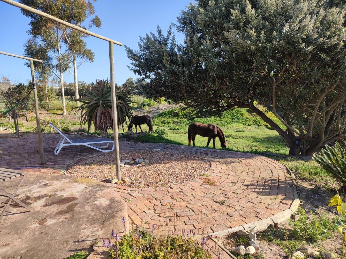 The Riverstone - Romantic Hideaway By The River - Loadshedding Free! Napier Exteriér fotografie