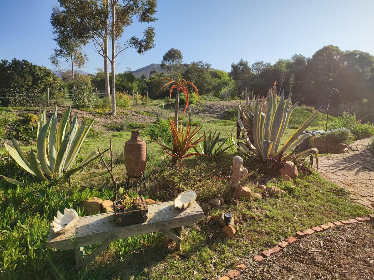 The Riverstone - Romantic Hideaway By The River - Loadshedding Free! Napier Exteriér fotografie